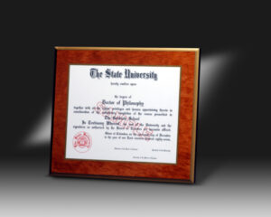 Custom Laminated Certificate/Document Plaque | Lane Award