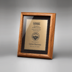 Acrylic Covered Frame Award
