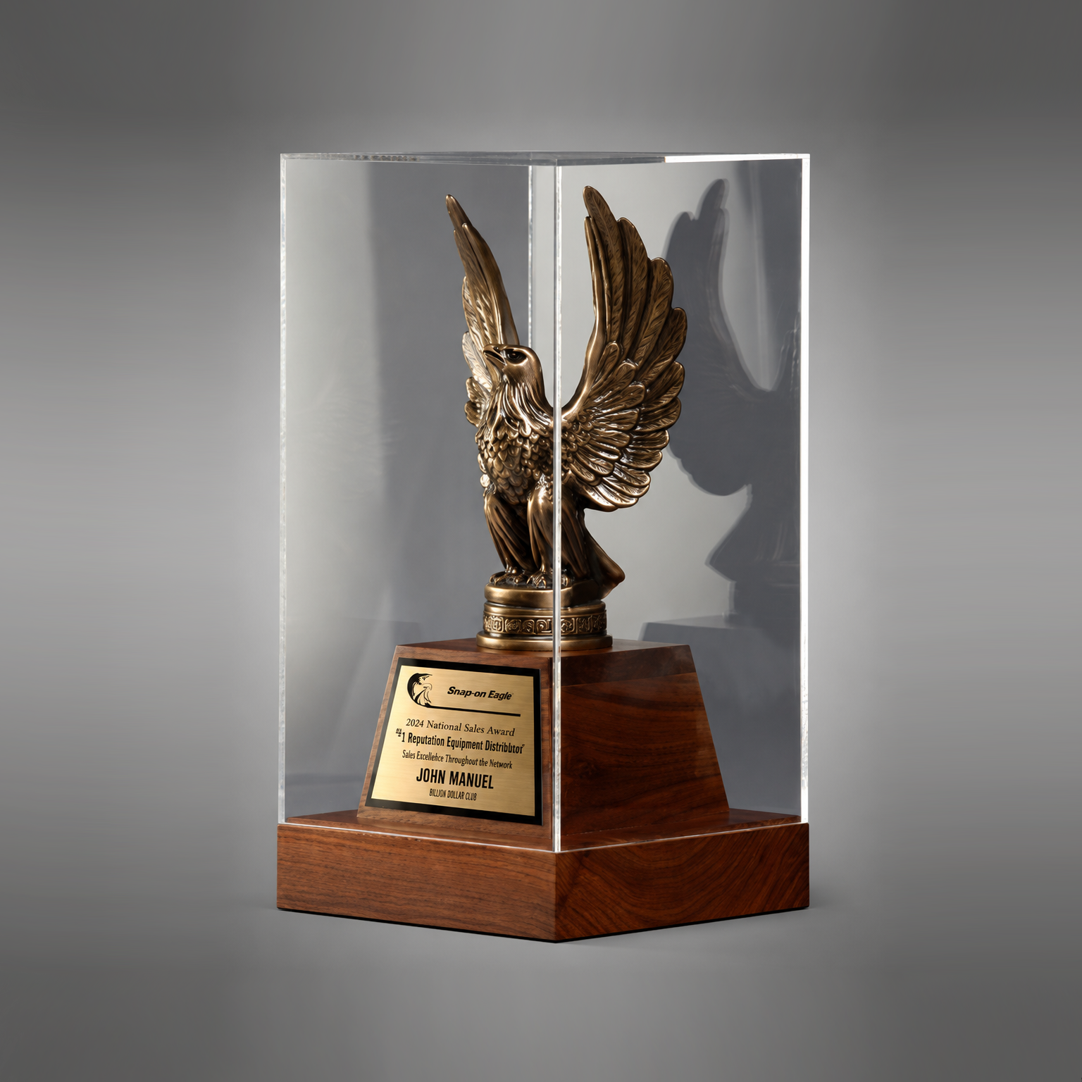900318 Cast Eagle Award With Cover - Image 1