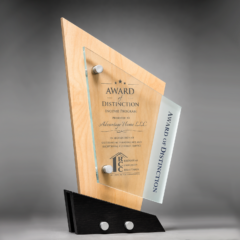 Newtech Acrylic Award