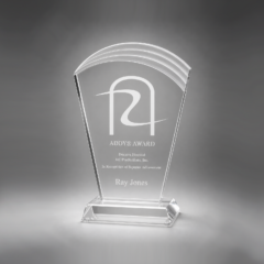 Soft-touch Acrylic Award