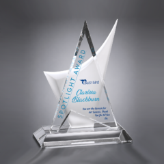Helmsman Award