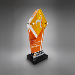 Custom Shaped Acrylic Award