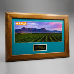 Custom Walnut Frame Plaque