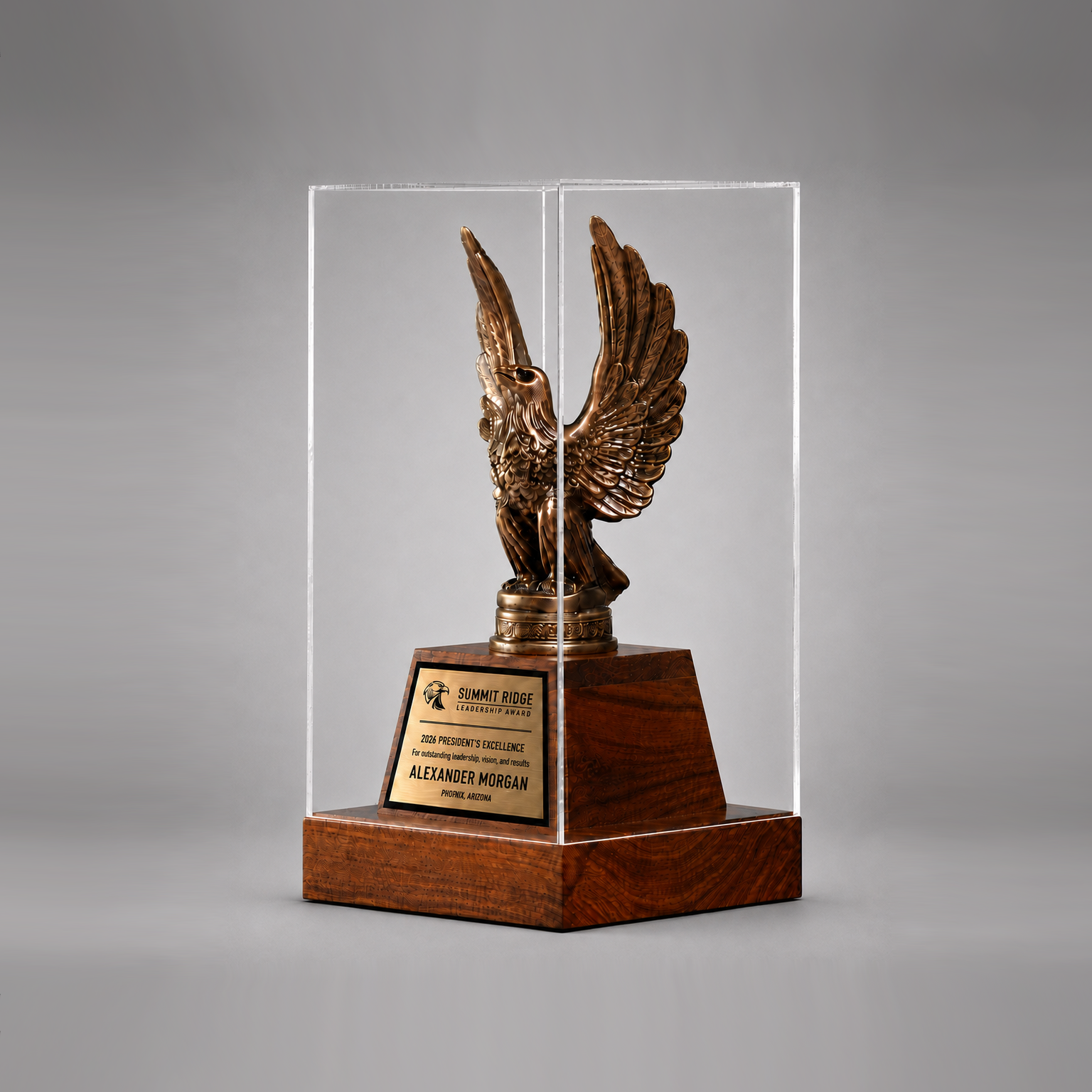 900318 Cast Eagle Award With Cover - Image 1